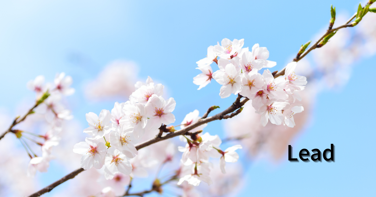 桜